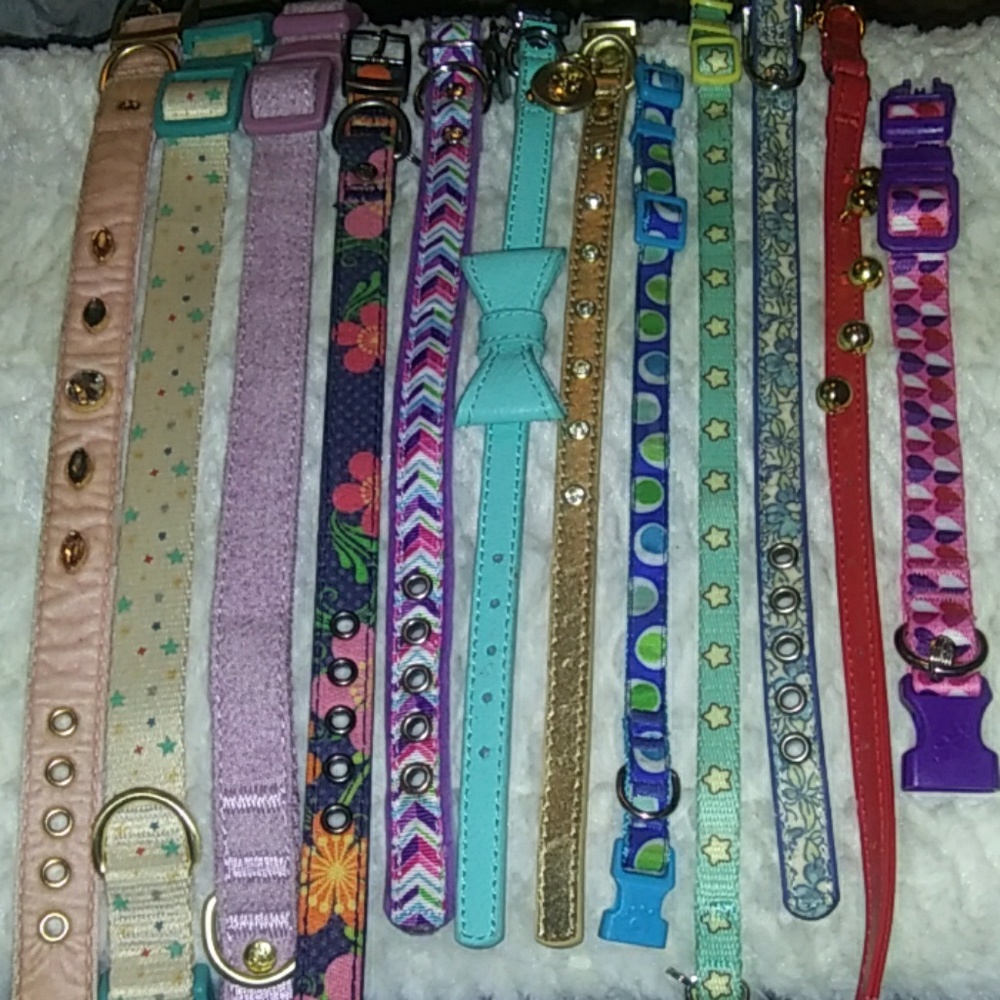 Dog collars